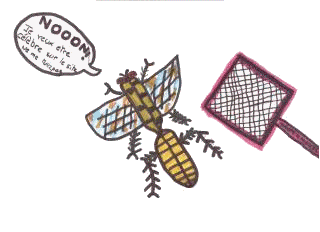 un insecte ambitieux