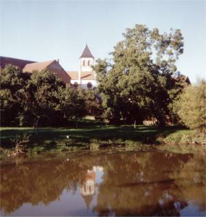 Zollingen